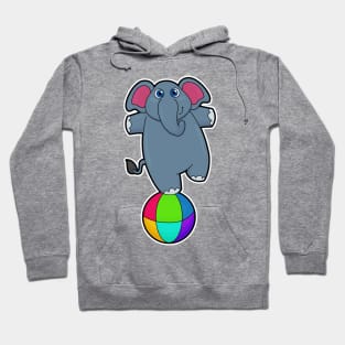 Elephant at Circus with Circus ball Hoodie